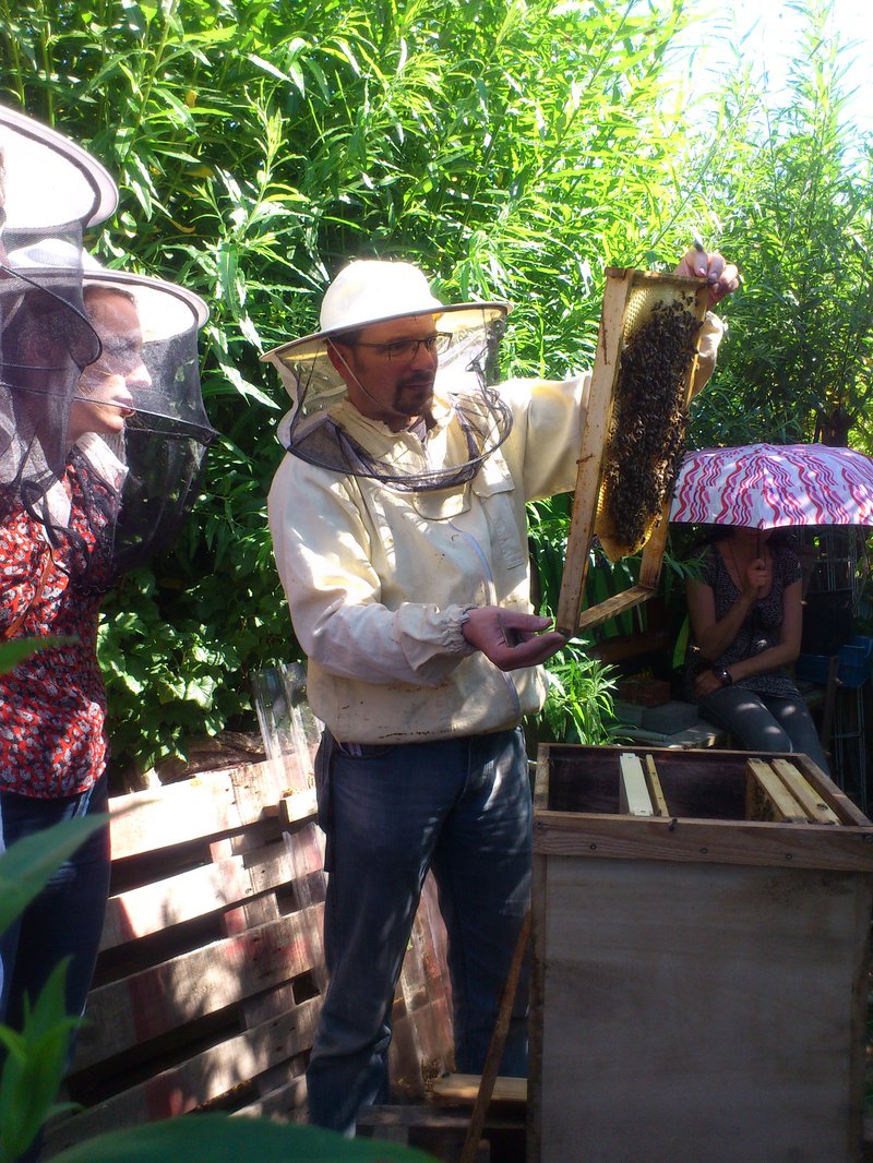 Imker zeigt Zuschauenden einen Bienenstock