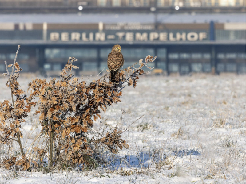 Naturfotografie THF