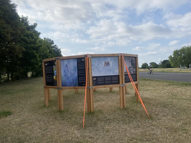 Foto Stellwand Ausstellung THF