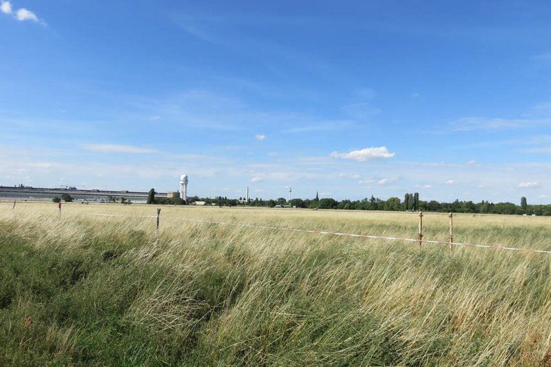 Wiesenfläche im Sommer mit Radarturm und Flughafengebäude  im Hintergrund